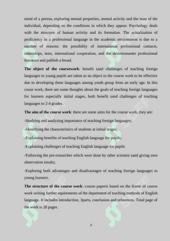 Features of the organization of teaching a foreign language at the initial stage (grades2-4) of a comprehensive school 3