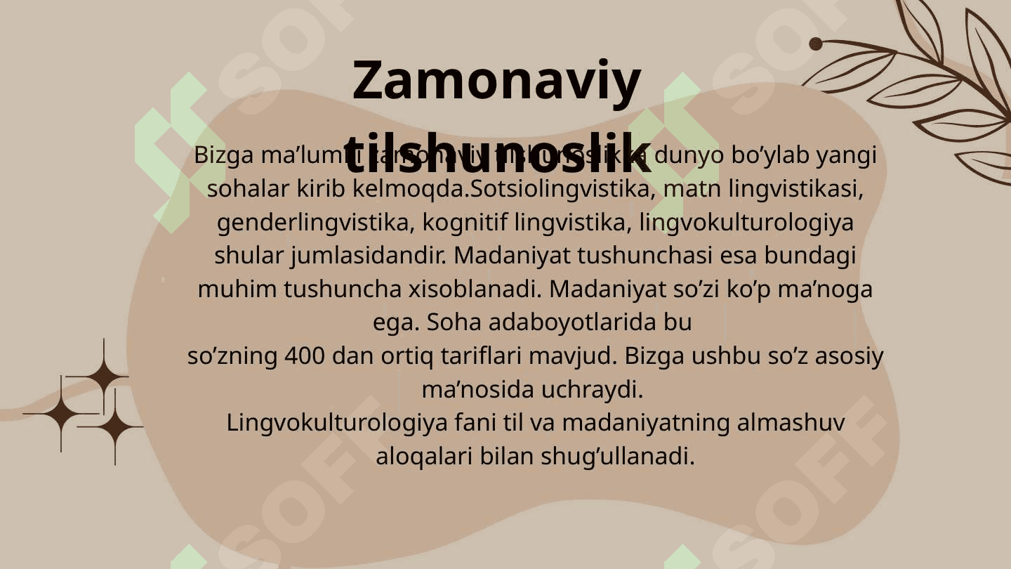 LINGVOKULTUROLOGIYA 3