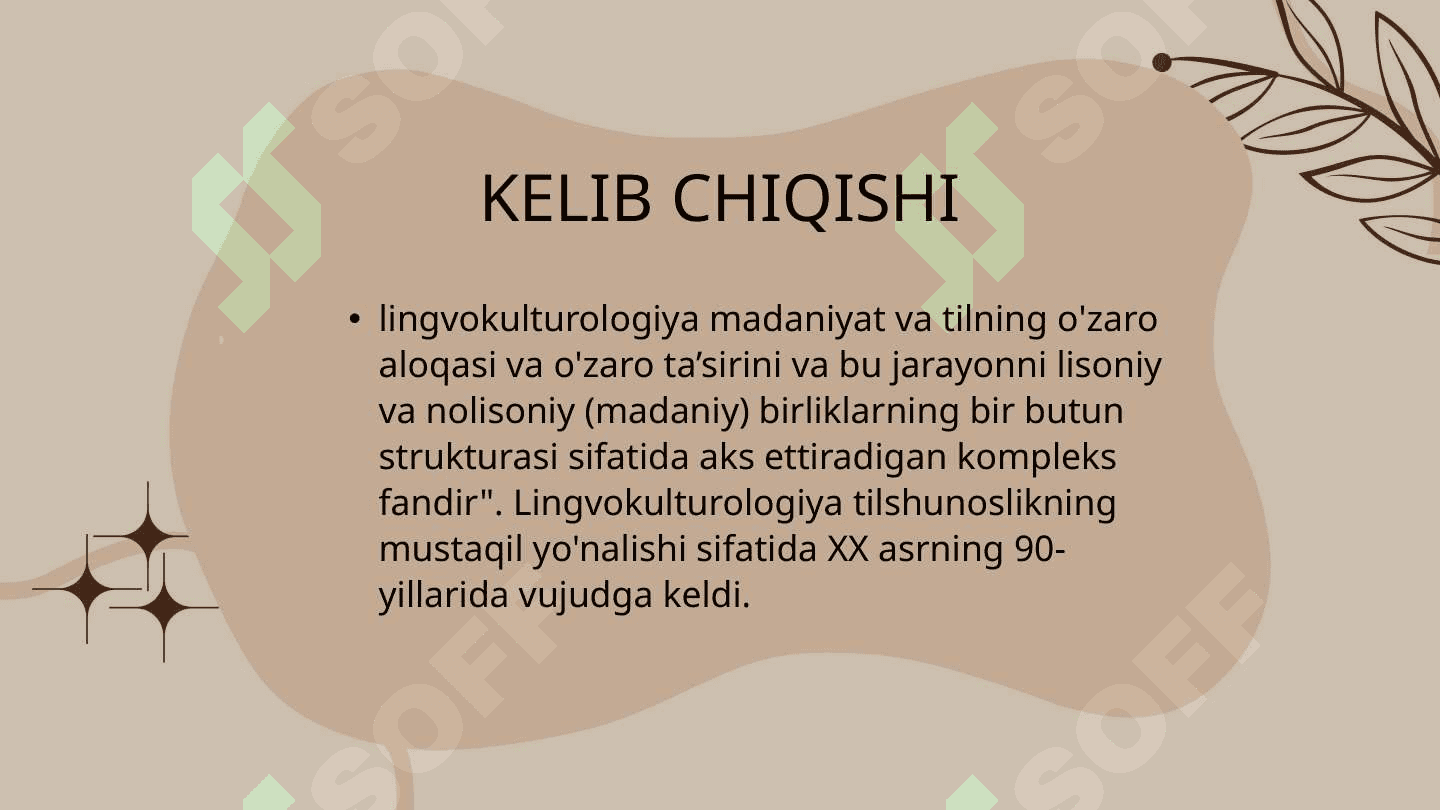 LINGVOKULTUROLOGIYA 4