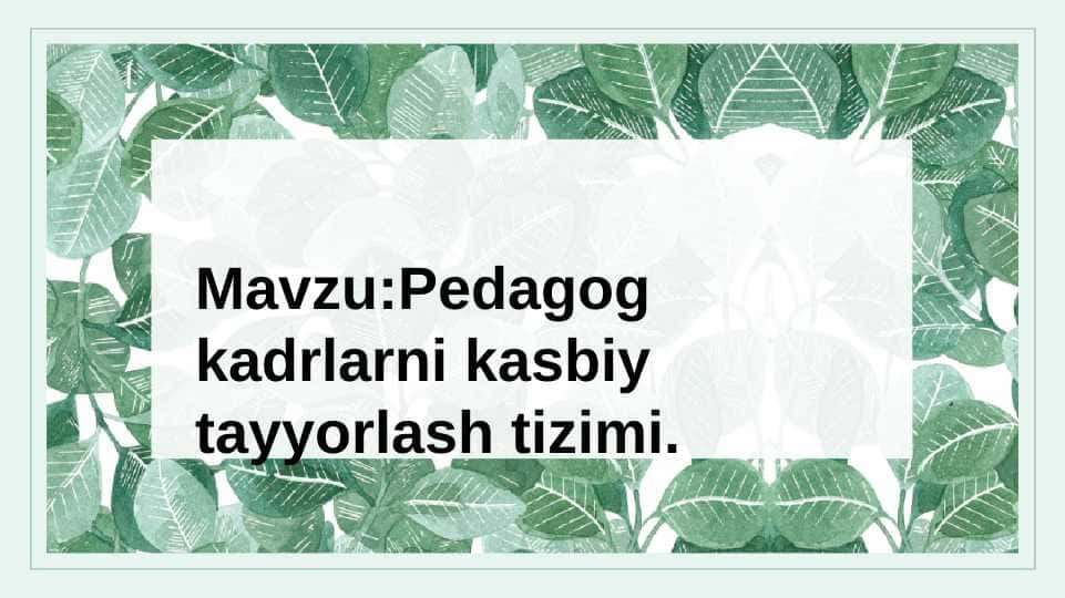 Pedagog kadrlarni kasbiy tayyorlash tizimi.