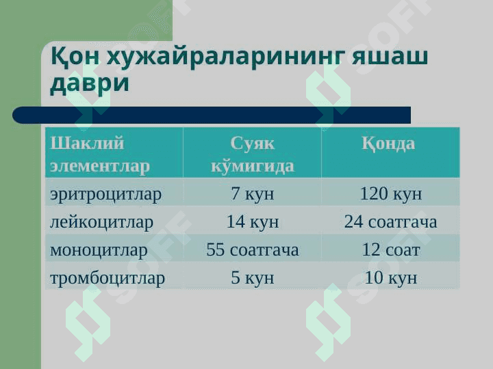 Қон тизими патофизиологияси 3