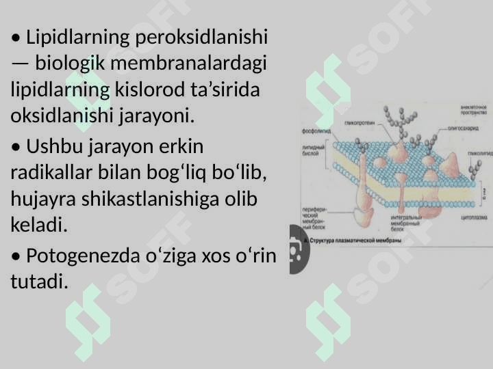 Lipidlarning Peroksidlanishi va Hujayra Shikastlanishi 3