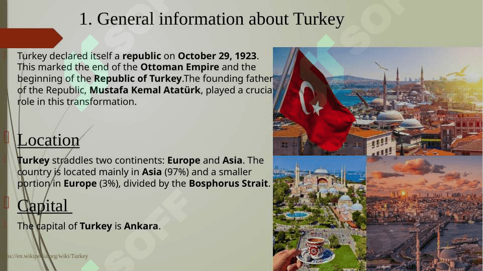 The economy of Turkey 4