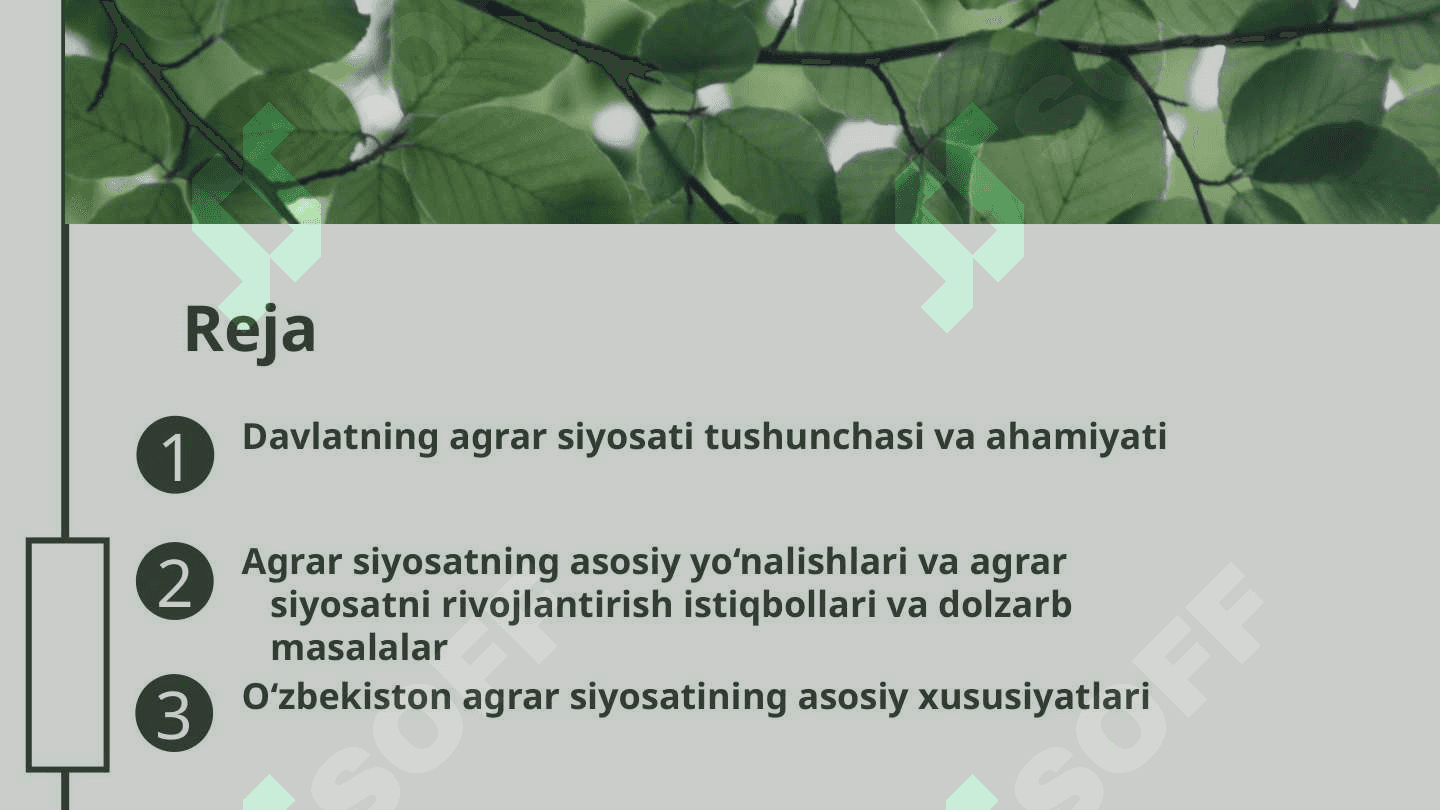 Davlatning agrar siyosati va uning O‘zbekistondagi xususiyatlari 2