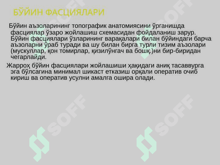 Bo‘yin soxasining kilinik anatomiyasi 4