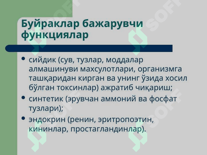 Буйраклар патофизиологияси 2