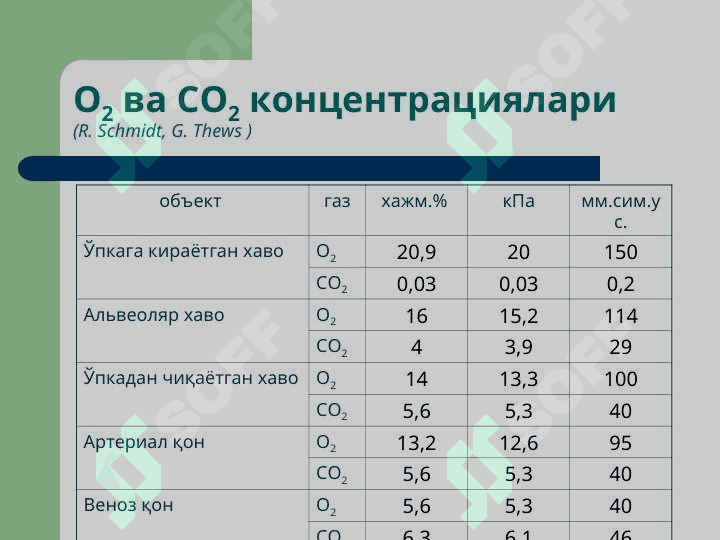 Ташқи нафас тизими патофизиологияси 4