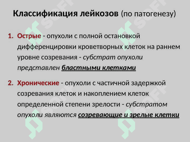 Гемобластозы 5