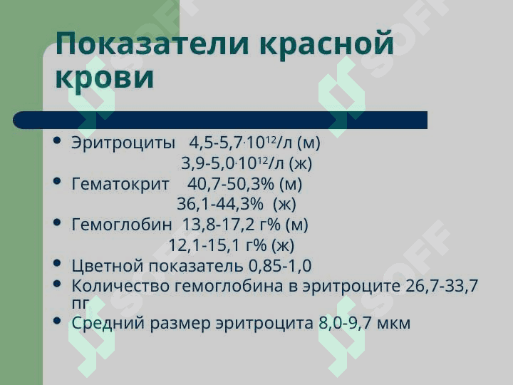 Патофизиология эритороцитов. Анемии 2