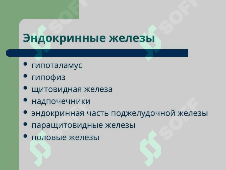 Патофизиология энокринной системы 3