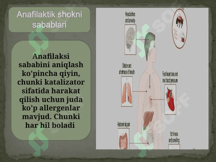 Anafilaktik  shok 3