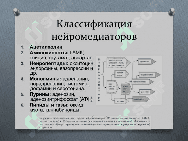 Нейромедиаторы 6