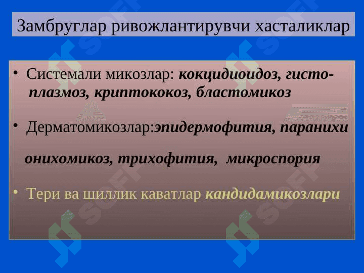 Замбругларга карши воситалар 3