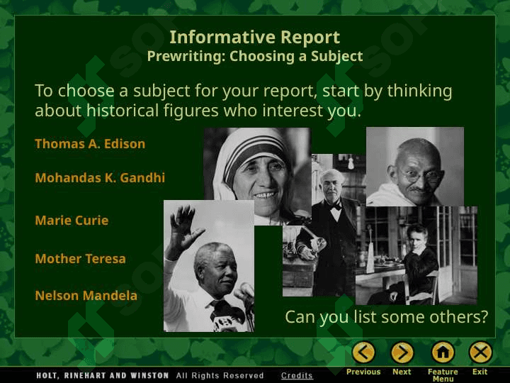 Informative Report 4