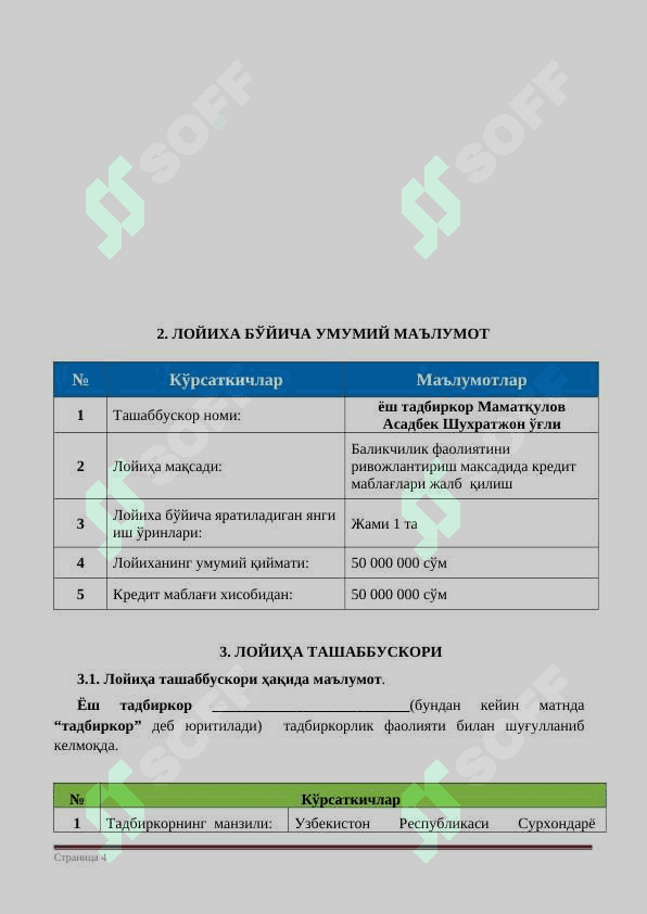 Baliqchilik bo'yicha biznes reja 4
