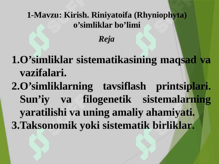 RINIYATOIFA (RHYNIOPHYTA) O’SIMLIKLAR BO’LIMI 3