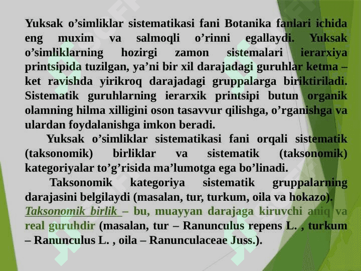 RINIYATOIFA (RHYNIOPHYTA) O’SIMLIKLAR BO’LIMI 4
