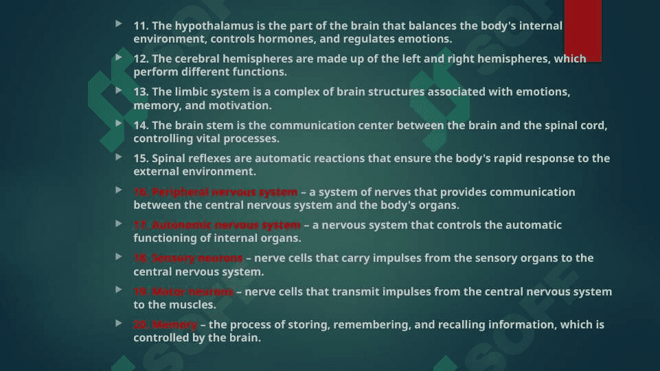 The central nervuous system grammar. future continuous tense. 4