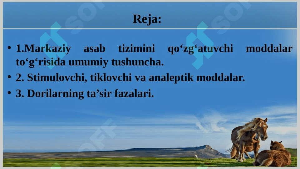 Markaziy asab tizimini qo‘zg‘atuvchi moddalar(hayvonlarda) 2