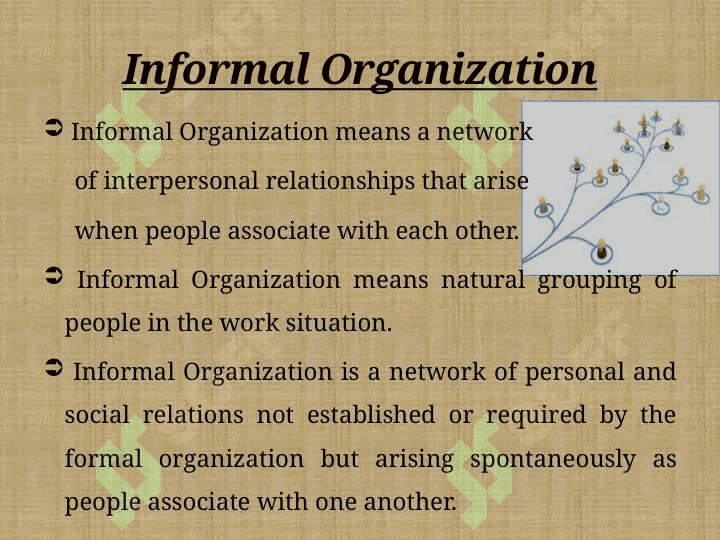 THE ORGANISATION 5