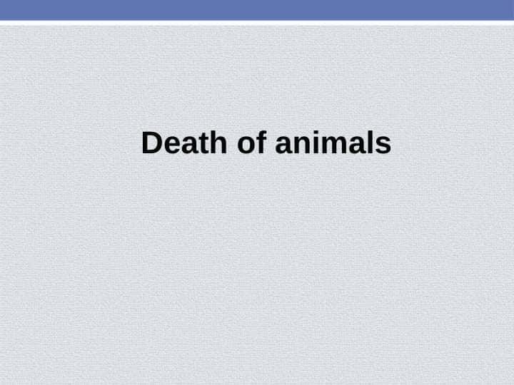 Death of animals