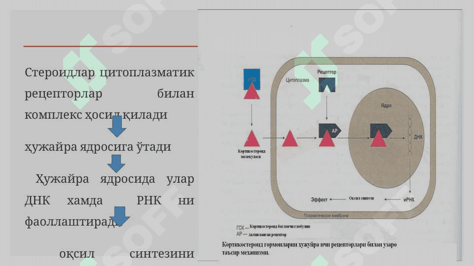 MODDALAR ALMASHINUVIGA TA`SIR ETUVCHI MODDALAR 6