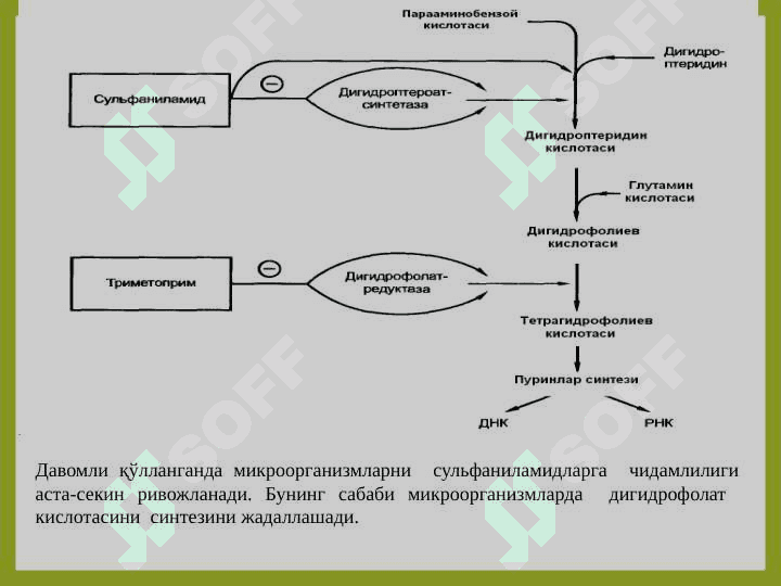 SULFANILAMID PREPARATLARI 6