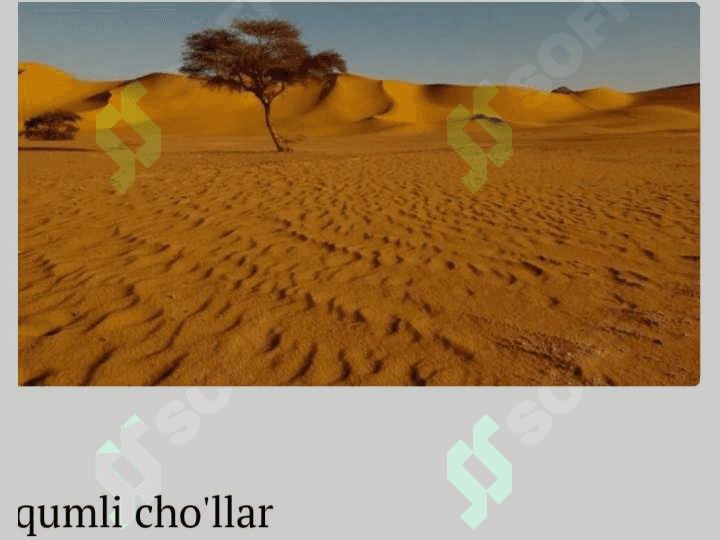 CHO`L ZONASINING TUPROQLARI 8