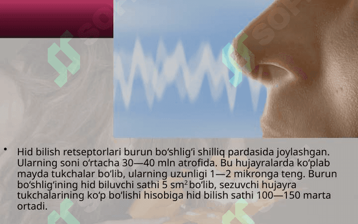 Hid va ta’m bilish organlari. 2