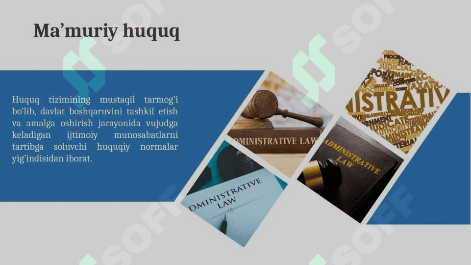 Davlat va huquq asoslari 3