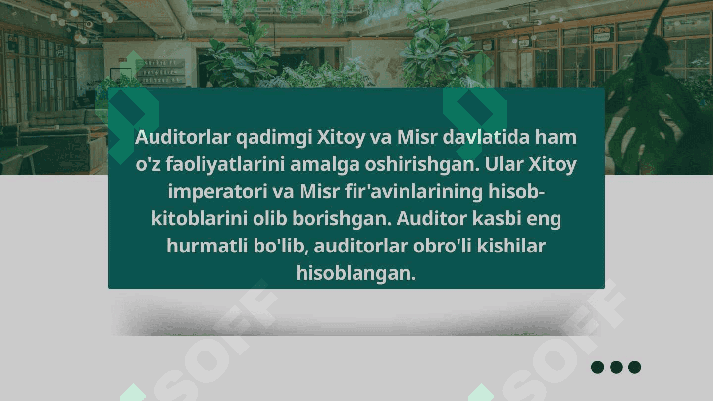 AUDITGA UMUMIY TAVSIF PPTX 5