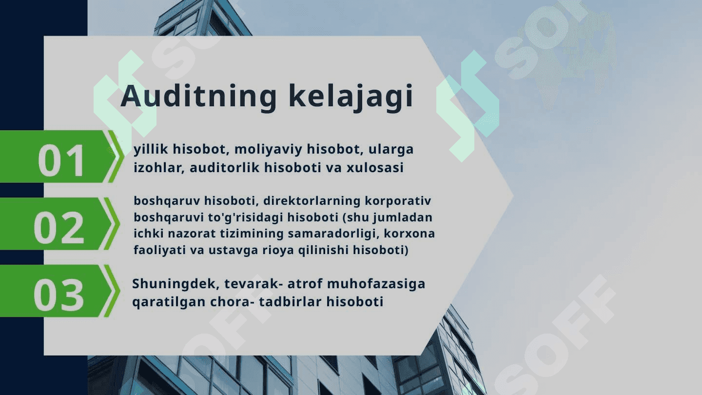 AUDITGA UMUMIY TAVSIF PPTX 8