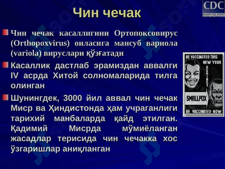 Чин чечак 2