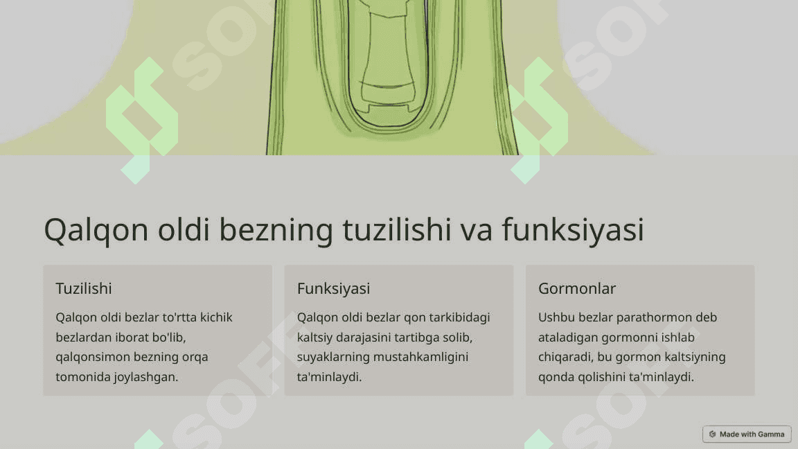 Endokrin tizim: gormonlarning ahamiyati 3