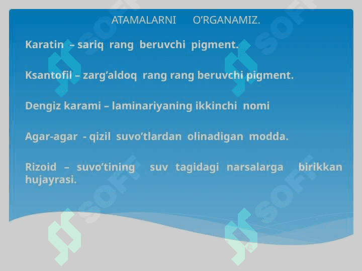 Qizil va qo'ng'ir suvo'tlari 4