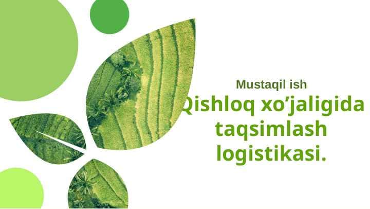 Qishloq xo’jaligida taqsimlash logistikasi.