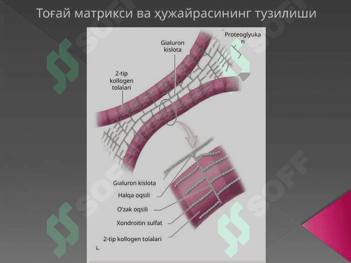 Тоғай тўқимаси 3