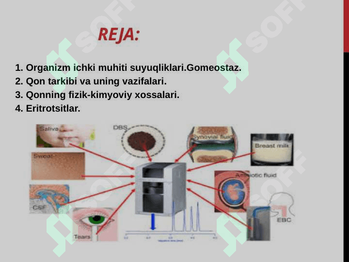 Gomeostaz organizmning biologik suyuqliklari 2