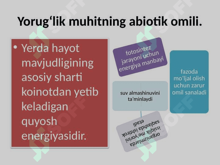 YORUG‘LIK – MUHITNING EKOLOGIK OMILI 2