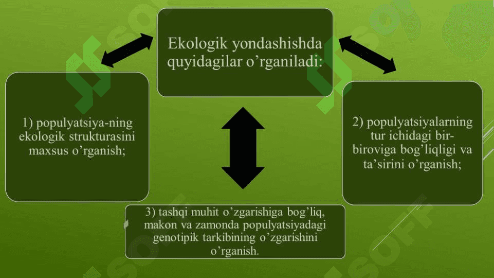Populyatsiyalar ekologiyasi 4