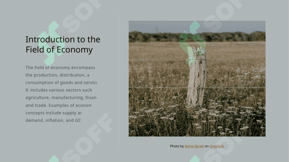 Field of Economy 3