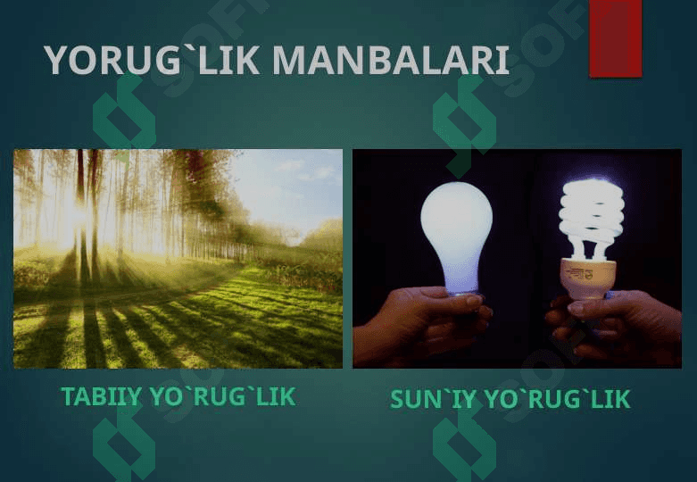 Yorug’likning tabiiy va sun’iy manbalari 3