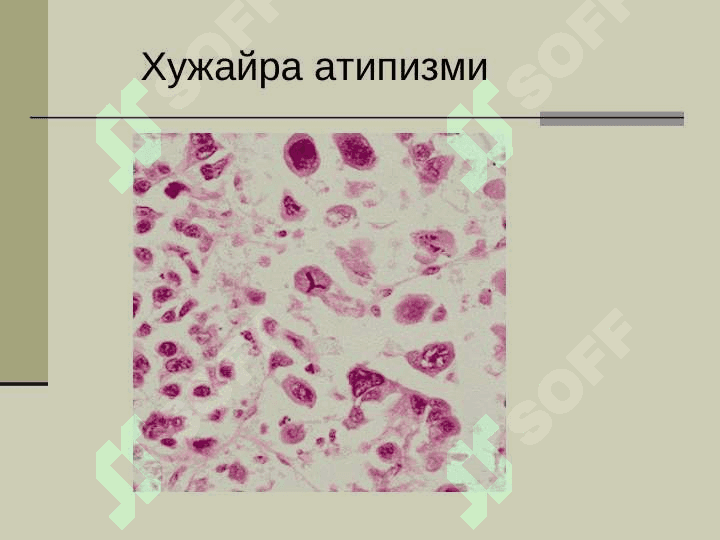 Онкология 5