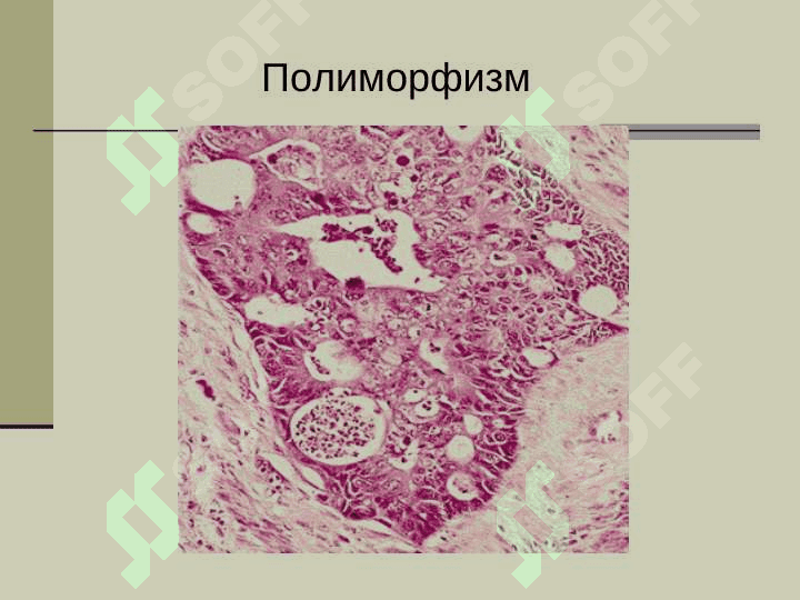 Онкология 6