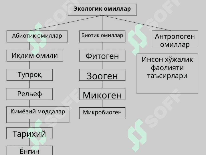 Abiotik omillar va ularning tirik organizmlar hayotidagi ahamiyati 4