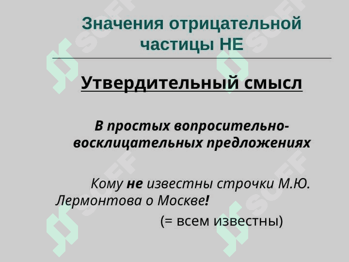частица 4