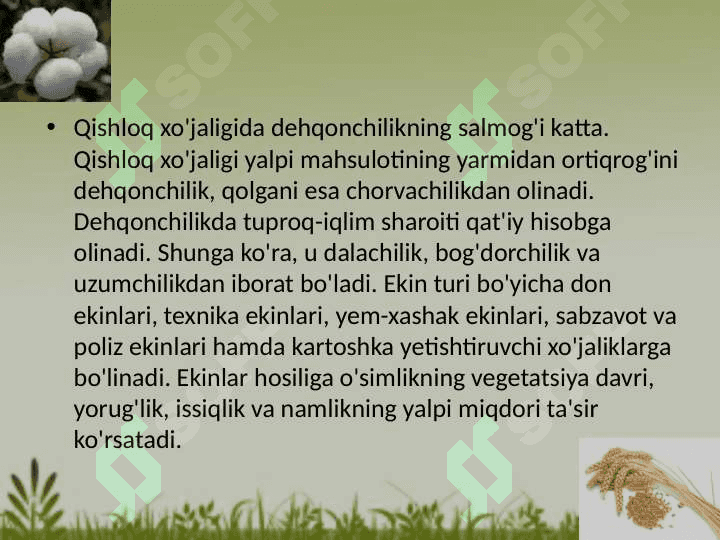 Dehqonchilik 2