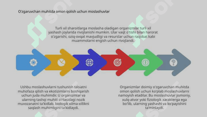 Organizm va tashqi muhit 4