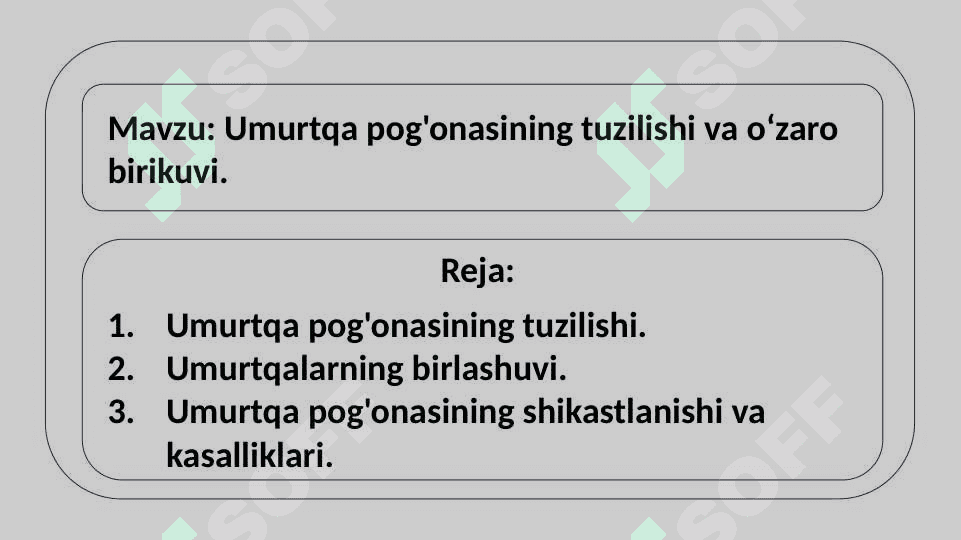 Umurtqa pog'onasining tuzilishi va o‘zaro birikuvi. 2