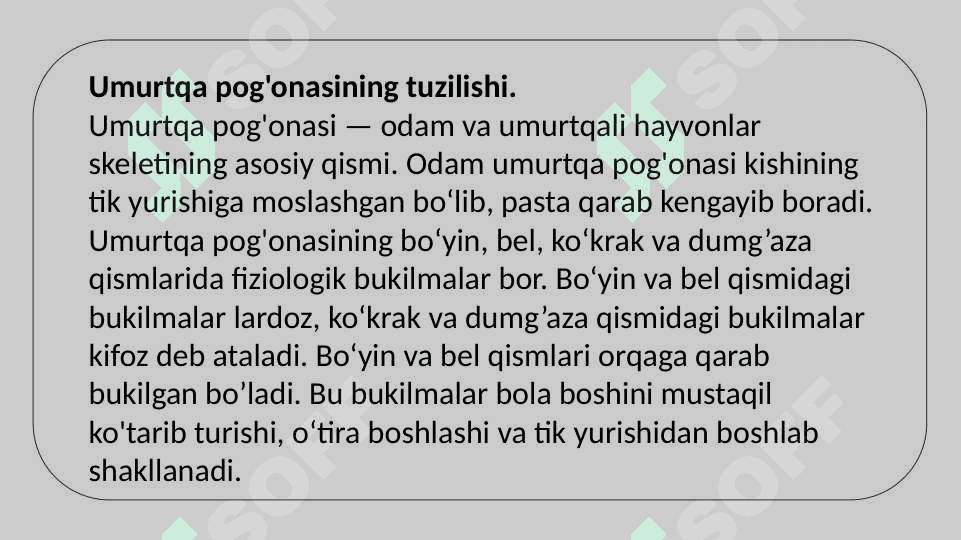 Umurtqa pog'onasining tuzilishi va o‘zaro birikuvi. 3